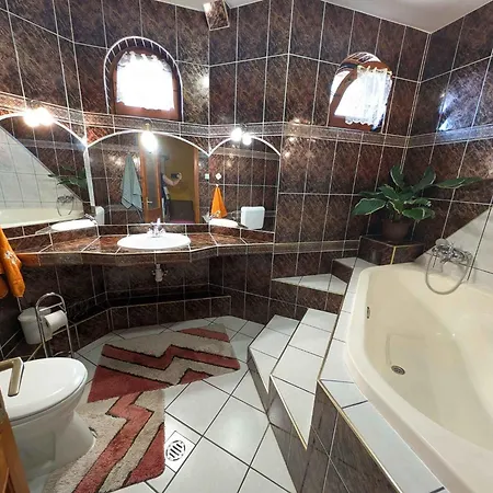 In - Balaton 18583 *