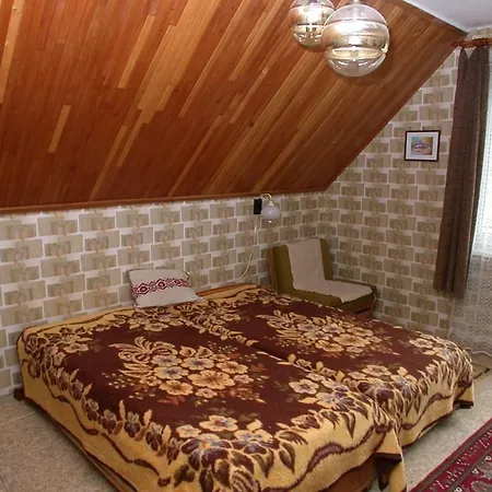 In - Balaton 18583 *