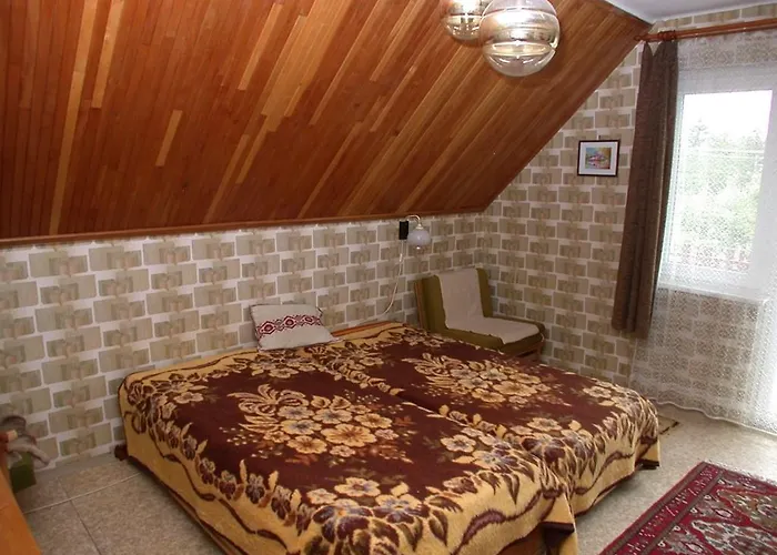 In - Balaton 18583 *